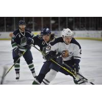 Florida Everblades vs. Greenville Swamp Rabbits
