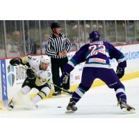 Wheeling Nailers vs. the Orlando Solar Bears