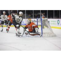 Quad City Mallards vs. the Fort Wayne Komets