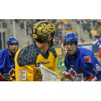 Randy Staats of the Georgia Swarm vs. the Toronto Rock