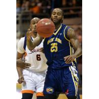 Saint John Mill Rats Try to Corral the Ball vs. the Island Storm