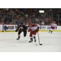 Reid Halabi of the Allen Americans vs. the Colorado Eagles