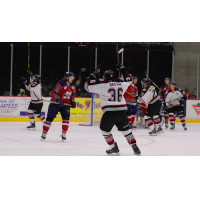 Brampton Beast Celebrate a Goal vs. the Kalamazoo Wings