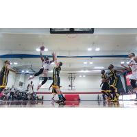 Orangeville A's vs. the London Lightning
