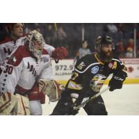 Allen Americans Goaltender Riley Gill and Colorado Eagles Right Wing Darryl Bootland