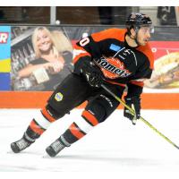 Forward Domenic Alberga with the Fort Wayne Komets