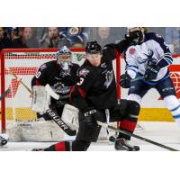 Lake Erie Monsters vs. the Manitoba Moose