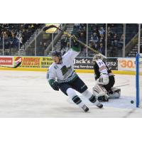 Maxime St-Cyr of the Florida Everblades Celebrates his Goal against the Brampton Beast