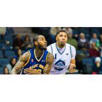 Saint John Mill Rats Eye the Basket vs. the Halifax Hurricanes