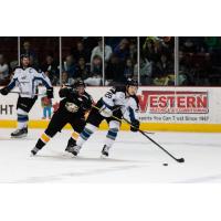 Defenseman Zack Kamrass (25) with the Idaho Steelheads