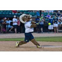St. Louis Rams Mascot at the Ballpark