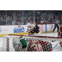 Pat Cannone of the Chicago Wolves Fires a Shot vs. the Iowa Wild