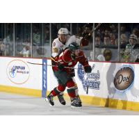 Jacob Doty of the Chicago Wolves Tries to Get Past the Iowa Wild