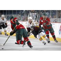 Chicago Wolves C Pat Cannone Eyes the Puck vs. the Iowa Wild