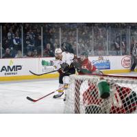 Chicago Wolves RW Eriah Hayes Takes a Shot vs. the Iowa Wild