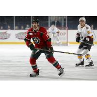 Chicago Wolves D Richard Nedomlel vs. the Iowa Wild
