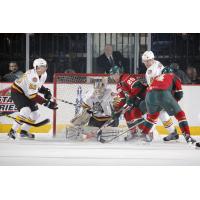 Chicago Wolves Defend the Net vs. the Iowa Wild
