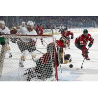 Chicago Wolves Press the Net vs. the Iowa Wild