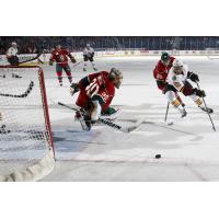 Chicago Wolves Chase a Loose Puck Near the Iowa Wild Net
