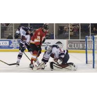 Atlanta Gladiators Try to get the Puck by the South Carolina Stingrays