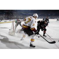 Chicago Wolves RW Eriah Hayes vs. the Lake Erie Monsters