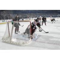 Chicago Wolves Close in on the Lake Erie Monsters Net