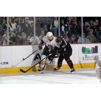 Eriah Hayes of the Chicago Wolves vs. the Lake Erie Monsters
