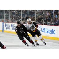 Chicago Wolves C Jeremy Welsh vs. the Lake Erie Monsters