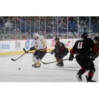 Chicago Wolves C Jeremy Welsh Controls the Puck vs. the Lake Erie Monsters