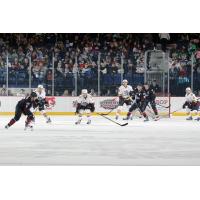 Chicago Wolves Play Defense vs. the Lake Erie Monsters