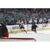 Chicago Wolves Rush up the Ice vs. the Lake Erie Monsters