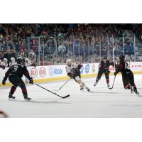 Chicago Wolves C Pat Cannone vs. the Lake Erie Monsters