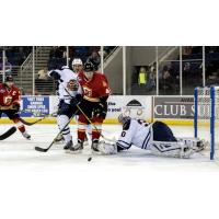 Atlanta Gladiators Set up in Front of the Greenville Swamp Rabbits Net