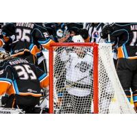 Ontario Reign Goal Surrounded by San Diego Gulls