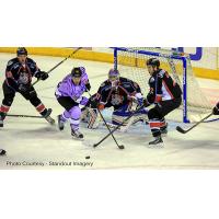 Missouri Mavericks vs. the Colorado Eagles