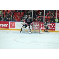 Brandon Carlo of the Tri-City Americans Celebrates his Shootout Goal vs. the Regina Pats