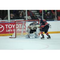 Tri-City Americans Goaltender Evan Sarthou Makes a Big Save vs. the Regina Pats