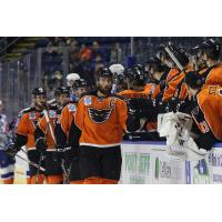 Lehigh Valley Phantoms Celebrate a Goal with the Bench