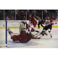 Allen Americans Goaltender Riley Gill Hits the Ice vs. the Cincinnati Cyclones