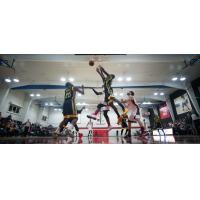NBL Canada Action