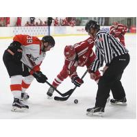 Brewster Bulldogs vs. the Danville Dashers