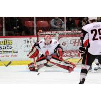 Moose Jaw Warriors Goaltender Zach Sawchenko