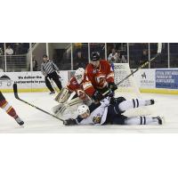 Atlanta Gladiators Defense Takes down the Greenville Swamp Rabbits
