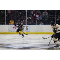 Mississippi RiverKings Defenseman Dean Willmott