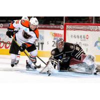 Lehigh Valley Phantoms Center Nick Cousins vs. the Hershey Bears