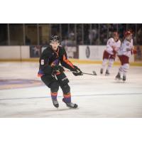 Youngstown Phantoms Defenseman Ryan Shea