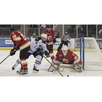 Atlanta Gladiators vs. the Greenville Swamp Rabbits