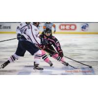 Corpus Christi IceRays in Action