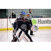 Goaltender Austin Park of the Ohio Blue Jackets from the Tier 1 Elite Hockey League