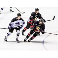 Lone Star Brahmas vs. the Wichita Falls Wildcats